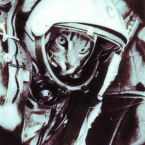 Космонавты