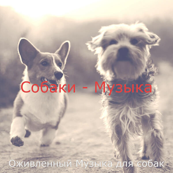 Оживленный Музыка для собак
