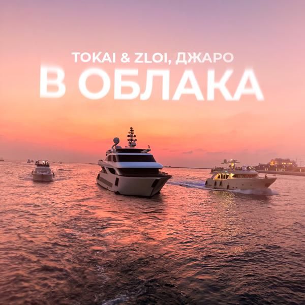 Tokai & Zloy