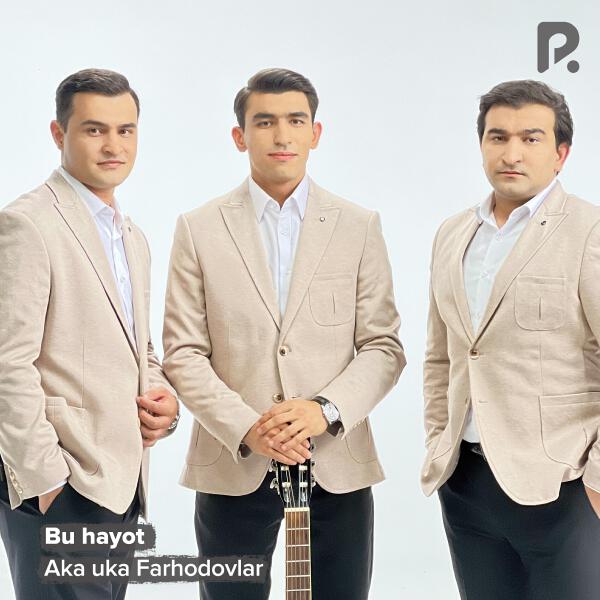 Aka-uka Farhodovlar