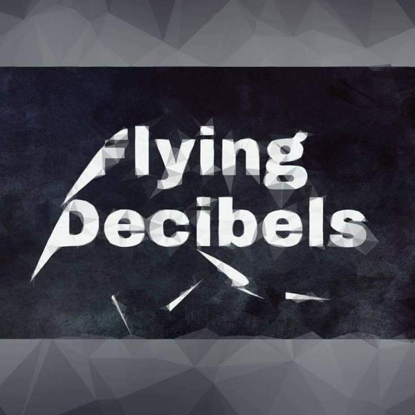 Flying Decibels