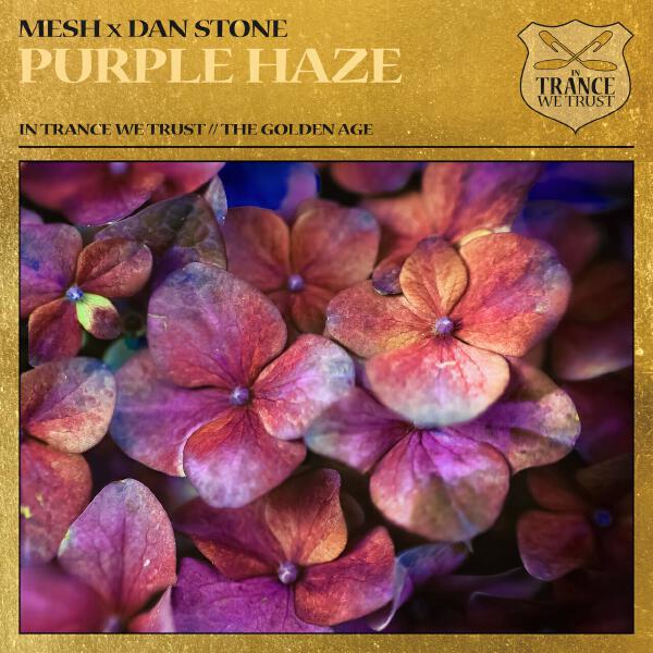 Mesh, Dan Stone