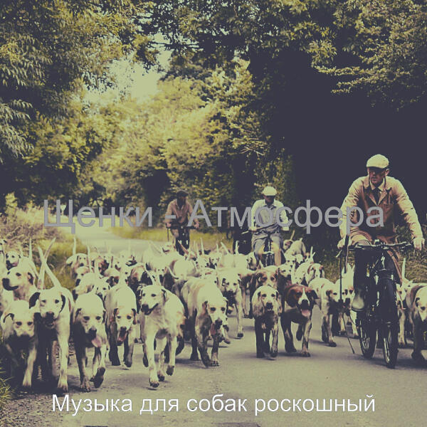 Музыка для собак роскошный