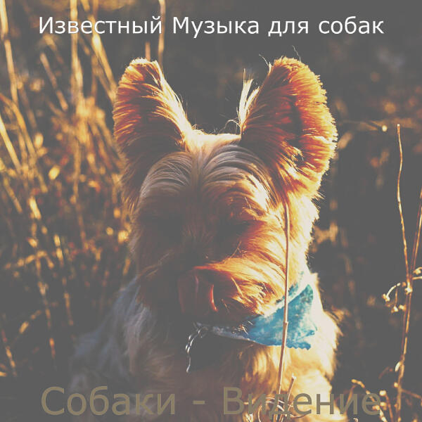 Известный Музыка для собак