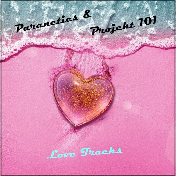 Projekt 101