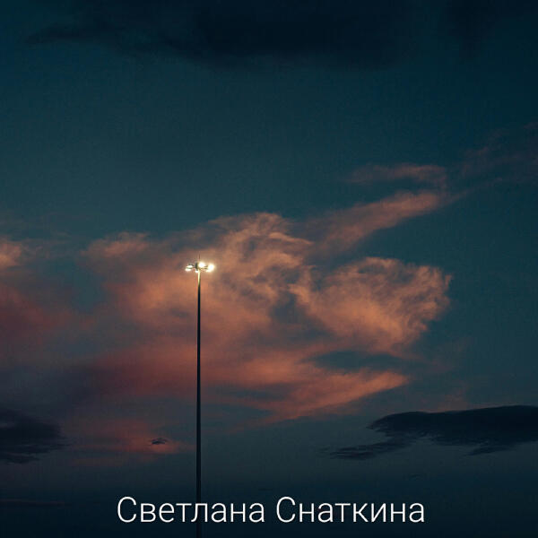 Светлана Снаткина
