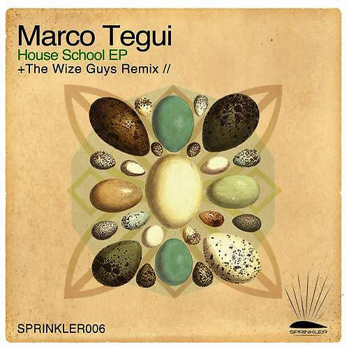 Marco Tegui