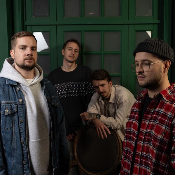 дольшелета