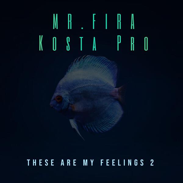 Mr.FIRA