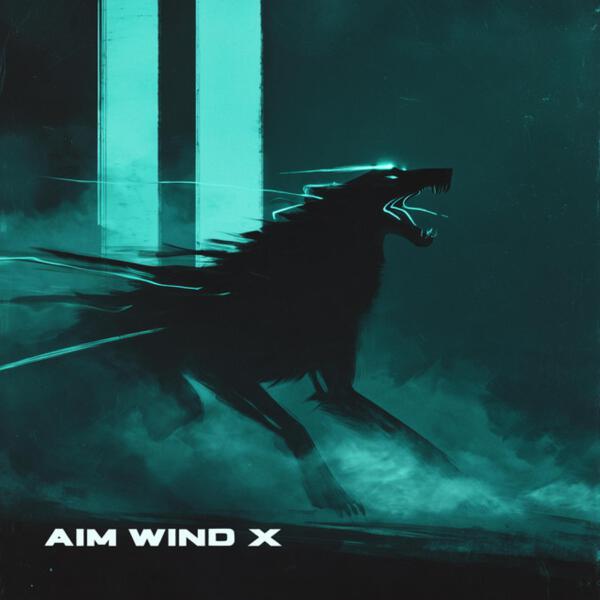 AIM WIND X