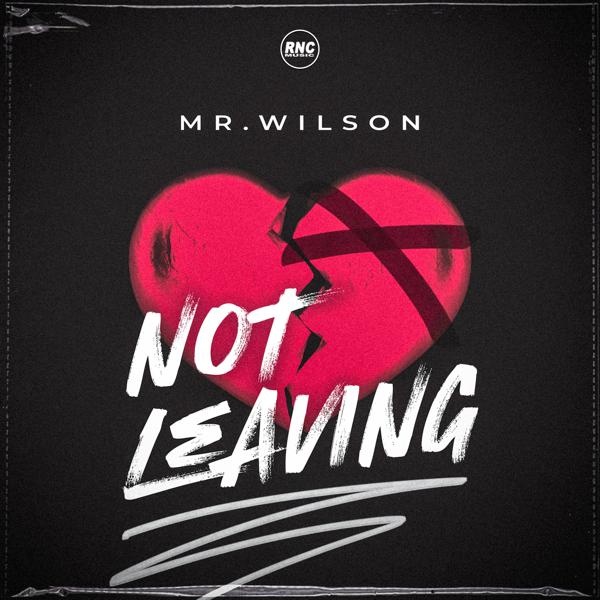 Mr. Wilson