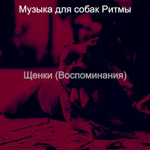 Музыка для собак Ритмы