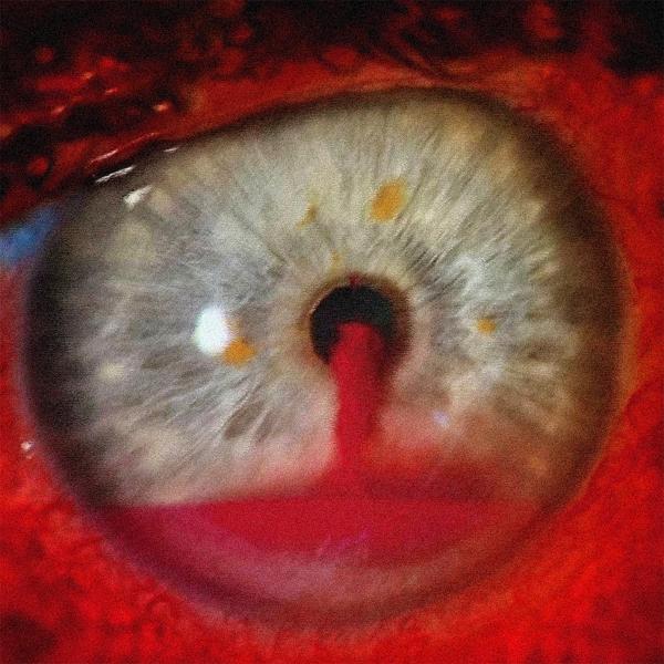 чистая муть