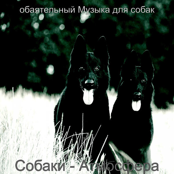 обаятельный Музыка для собак