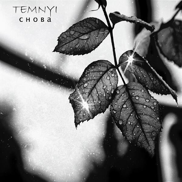 TEMNYI