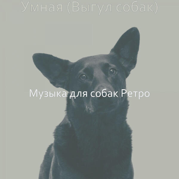 Музыка для собак Ретро