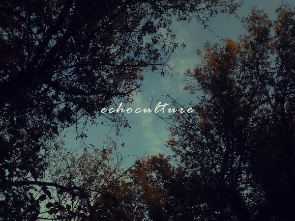 Echoculture