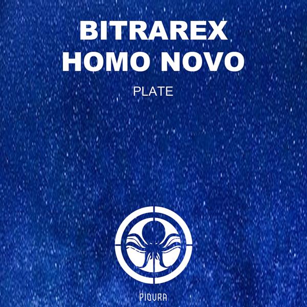 Homo Novo