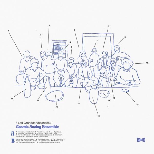 Cosmic Analog Ensemble