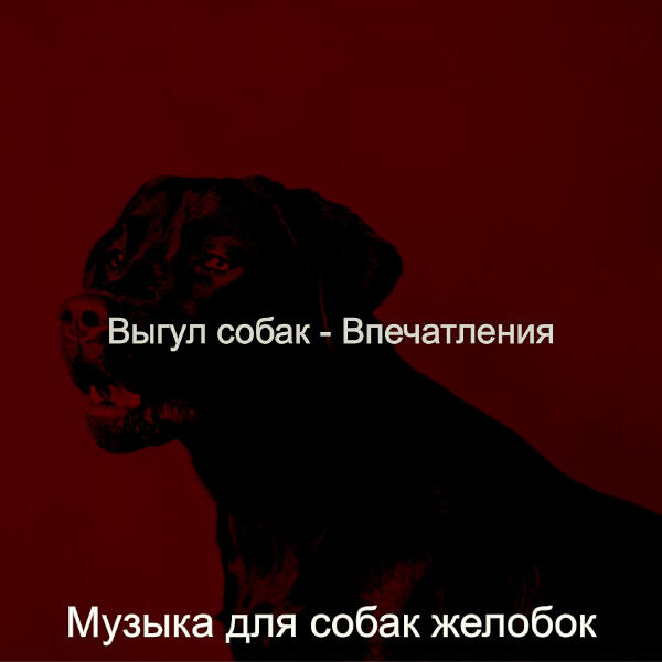 Музыка для собак желобок