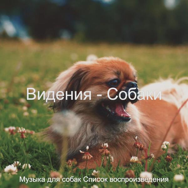 Музыка для собак Список воспроизведения
