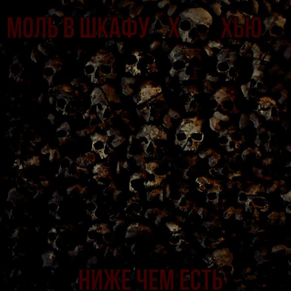 Моль В Шкафу