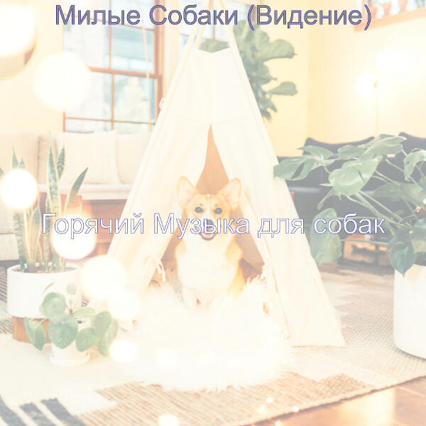 Горячий Музыка для собак