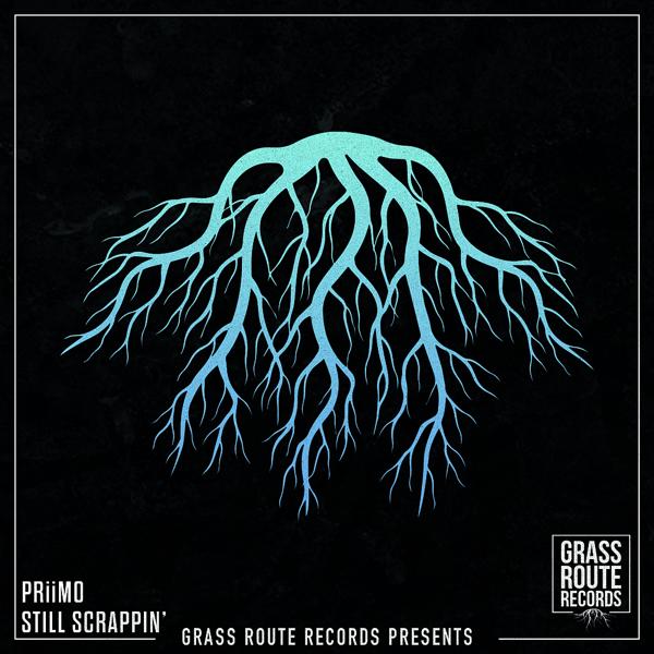 PRiiMO