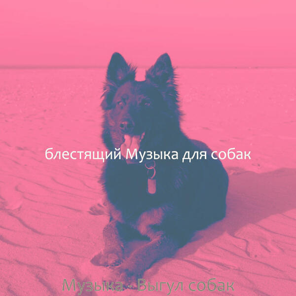 блестящий Музыка для собак