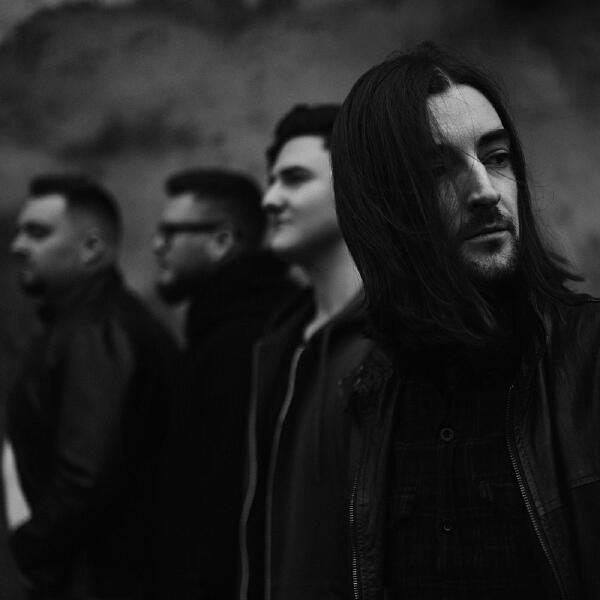 The Old Elephants Road