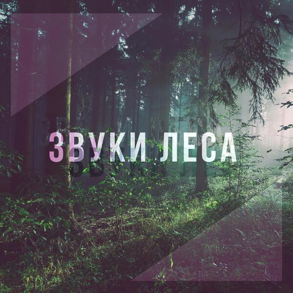 Хорошие звуки для ума и тела