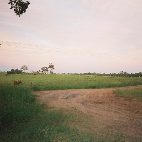 The Man The Myth The Meatslab