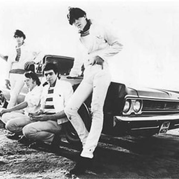 The Barracudas