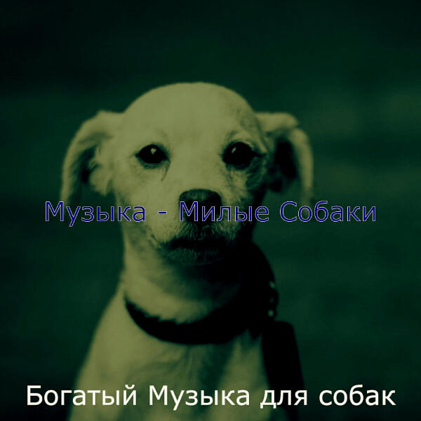 Богатый Музыка для собак
