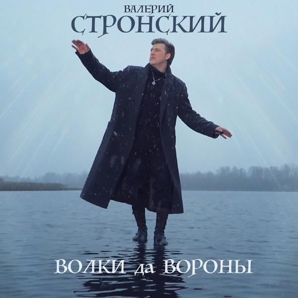 Валерий Стронский