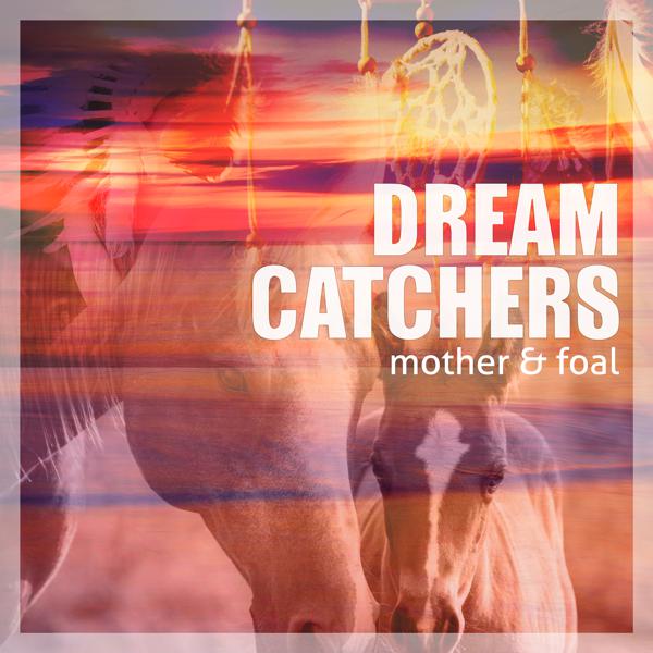 The Dreamcatchers