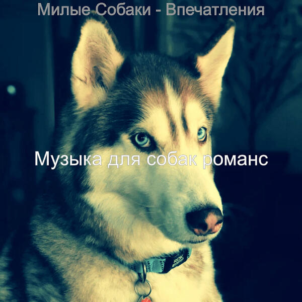 Музыка для собак романс