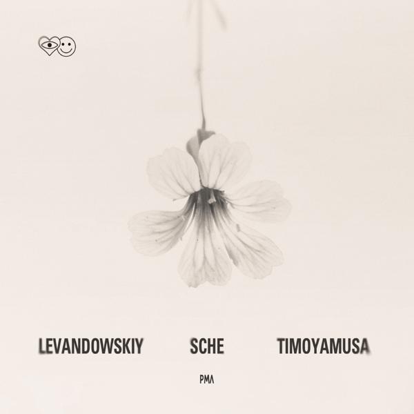 timoyamusa