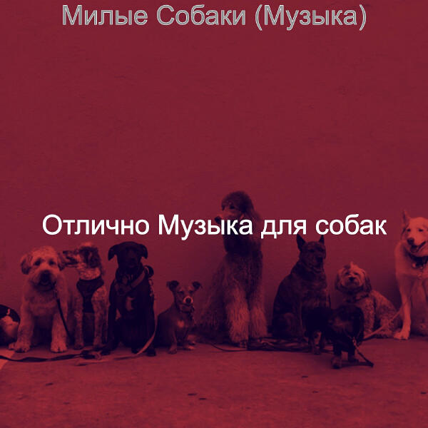 Отлично Музыка для собак