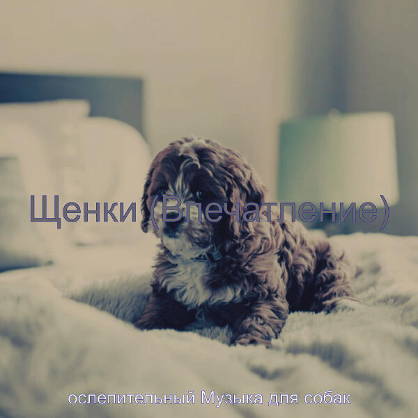ослепительный Музыка для собак