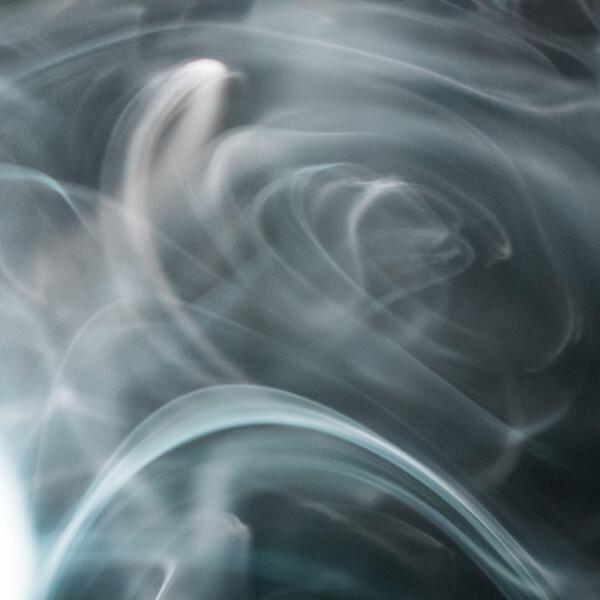 Radreed