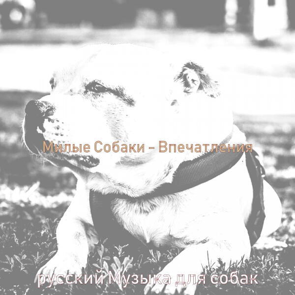 русский Музыка для собак