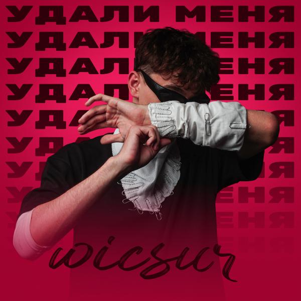 Wicsur