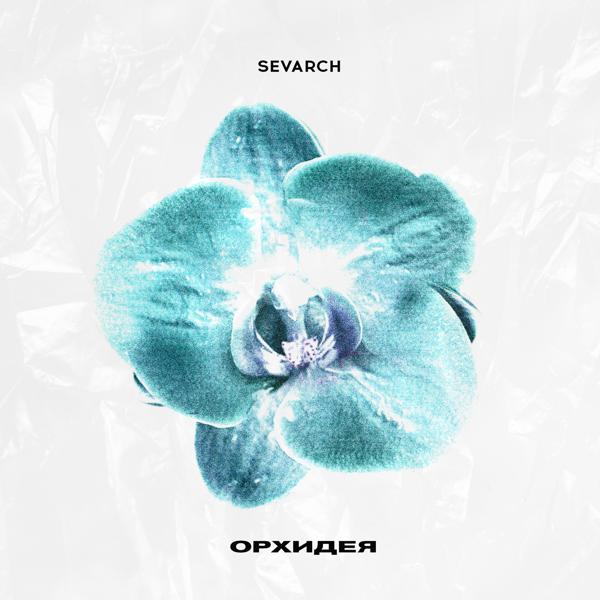 sevarch