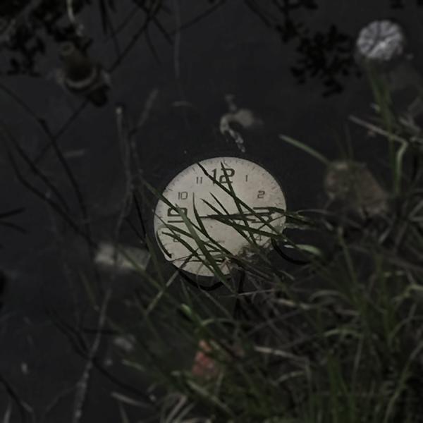 LunnStep