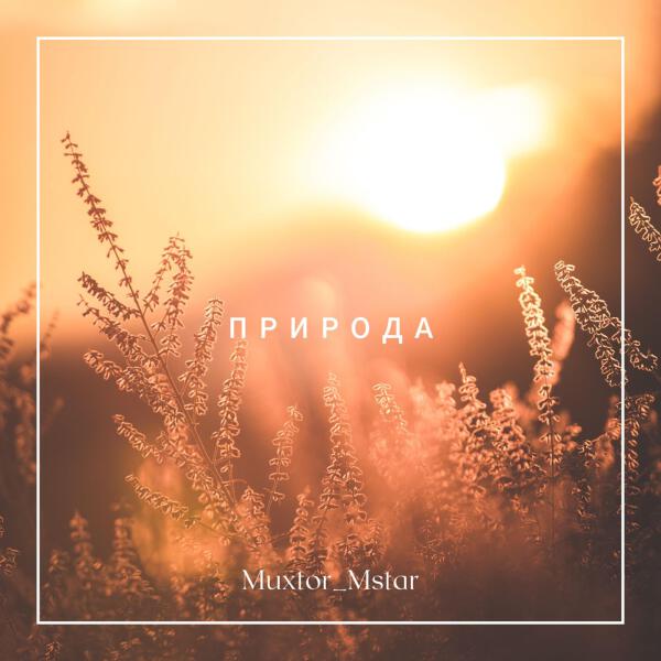 Muxtor_Mstar