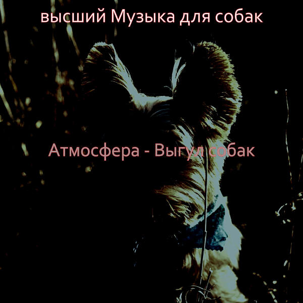 высший Музыка для собак
