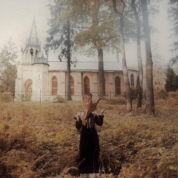 сказочный лес