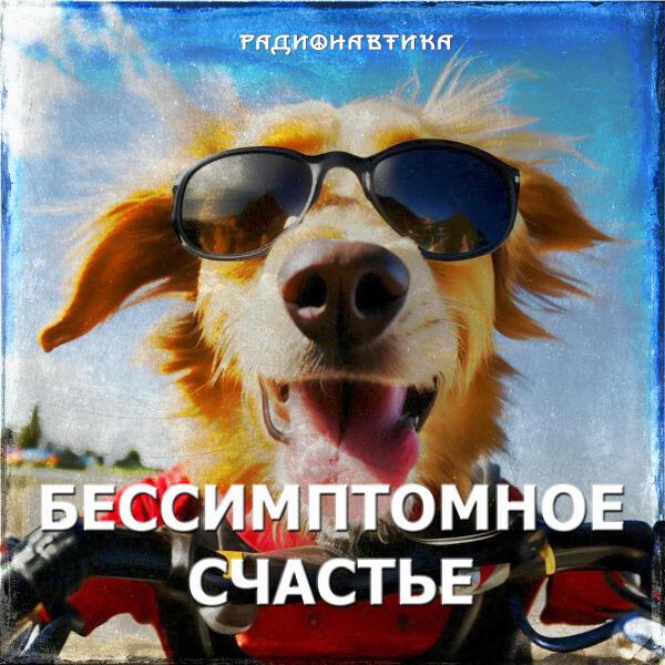 РАДИОНАВТИКА