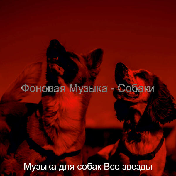 Музыка для собак Все звезды